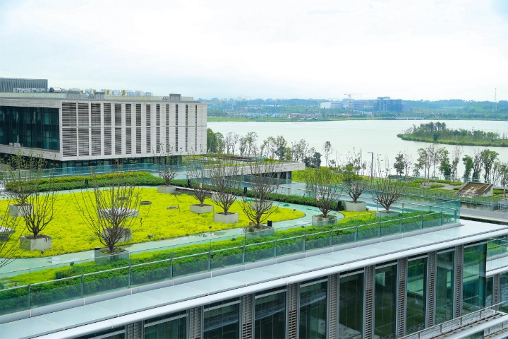 投票 | “爱成都·迎大运——一盆迎宾花” 最美城市立体绿化 景观网络评选开启_h5投票_视频投票小程序